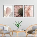 Ver imagem 1 de Kit 3 Quadros Fotos Modernas Flores Rosê 33x24cm:moldura Preta