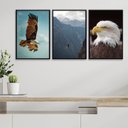 Ver imagem 2 de Kit 3 Quadros Fotografias Águia 45x34cm - com Vidro:madeira Preta