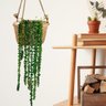 2 Pendentes de Suculenta Artificial Jardim Vertical Verde - 3