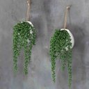 Ver imagem 4 de 2 Pendentes de Suculenta Artificial Jardim Vertical Verde