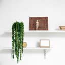 Ver imagem 5 de 2 Pendentes de Suculenta Artificial Jardim Vertical Verde