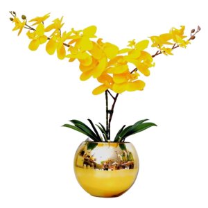 Arranjo Flores 2 Orquídeas Amarelo Toque Real Vaso Ouro