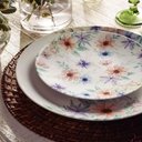 Ver imagem 3 de Jogo 6 Pratos Rasos 28cm Tramontina Floratta Porcelana Decorada Mesa Posta