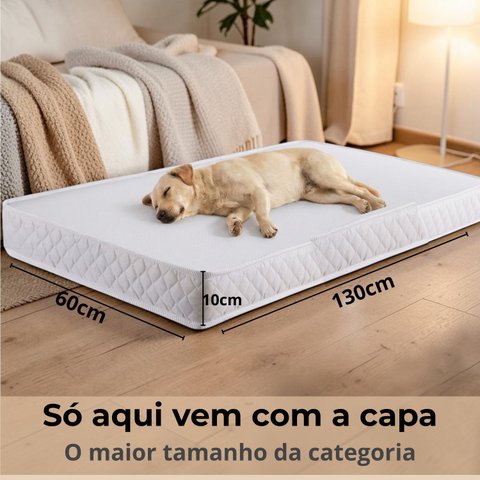 Cama Pet Colchão Cachorro Grande Porte Idoso Ortopédico e Capa Impermeável Kit