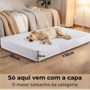 Ver imagem 5 de Cama Pet Colchão Cachorro Grande Porte Idoso Ortopédico e Capa Impermeável Kit