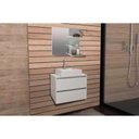 Ver imagem 1 de Armário C- Balcão Banheiro Suspenso Bn3607 S-cuba 60cm e Espelho Bn3608 Branco - Tecno Mobili