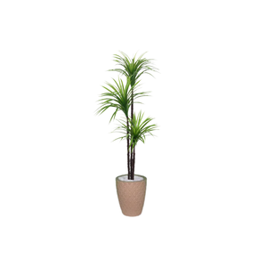 Planta Artificial Árvore Yucca 1,50m 3 Folhas Kit + Vaso E. Bege 32cm