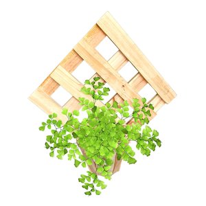 Suporte Painel Deck de Parede em Pinus e Cachepot Redondo para Vaso Floreira Orquídea Samambaia