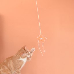 Varinha Pesca Estrela com Catnip para Gatos - Oikos Animal - 5