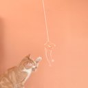 Ver imagem 5 de Varinha Pesca Estrela com Catnip para Gatos - Oikos Animal