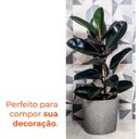 Ver imagem 4 de Vaso Reto Badi 28 Pedra - Afort