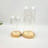 Kit 2 Redoma de Vidro Base Madeira com Led Cupula - 2