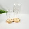 Kit 2 Redoma de Vidro Base Madeira com Led Cupula - 4