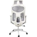 Ver imagem 5 de Kit com 10 Cadeiras Office Presidente Ajustavel e Ergonomica com Nr 17 Everest