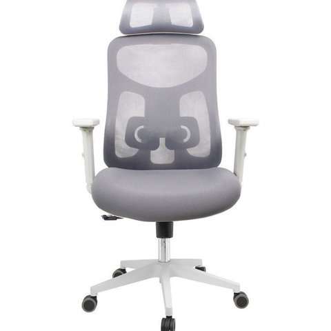 Kit com 10 Cadeiras Office Presidente Ajustavel e Ergonomica com Nr 17 Everest