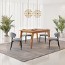 Conjunto Sala de Jantar Mesa Elegance com 4 Cadeiras Bless - 1