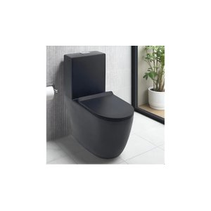 Vaso Sanitário Monobloco com Assento Suave - Preto