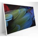 Ver mais imagens de Quadro Penas Verdes 90x60 Cm Adesivo Fotográfico