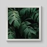 Quadro Monstera Costela de Adão Floral - 20x20cm - Moldura Caixa Branco - 1