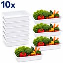 Ver imagem 1 de Kit 10 Bandeja Frigorifica Carnes Frios Branca Box Organizador 5,8L Retangular com Alca Bacia Exposi