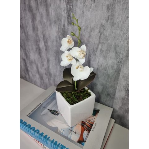 Arranjo De Mini Orquídea Branca Vaso Branco Quadrado