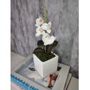 Ver imagem 3 de Arranjo De Mini Orquídea Branca Vaso Branco Quadrado