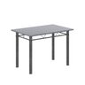 Conjunto de Mesa Tubular 100x60cm Tampo com 4 Cadeiras Dany - 4