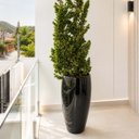 Ver imagem 1 de Vaso Fibra de Vidro Atenas P 52cm Decorativo Preto Brilho