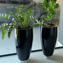 Ver imagem 2 de Vaso Fibra de Vidro Atenas P 52cm Decorativo Preto Brilho