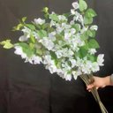 Ver imagem 3 de Kit 15 Galhos Flores de Bougainville Realista Branco