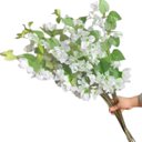 Ver imagem 1 de Kit 15 Galhos Flores de Bougainville Realista Branco