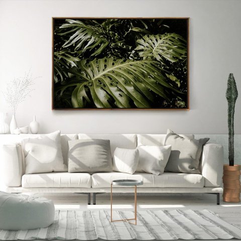 Quadro Decorativo Planta Costela de Adão Moderno Com Moldura e Sem Vidro 90X140