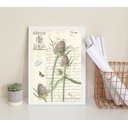 Ver imagem 1 de Quadro Decorativo Vintage Retrô Botânica 45x34cm:madeira Branca