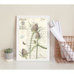 Quadro Decorativo Vintage Retrô Botânica 45x34cm:madeira Branca - 1
