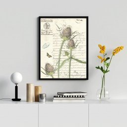 Quadro Decorativo Vintage Retrô Botânica 45x34cm:madeira Branca - 2