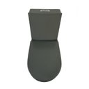 Ver imagem 4 de Vaso Sanitário Monobloco Caixa Acoplada Privada Atenas