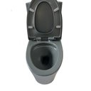 Ver imagem 3 de Vaso Sanitário Monobloco Caixa Acoplada Privada Atenas