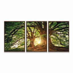 Quadro Decorativo Árvore Grande Galhos Paisagem para Sala Quarto - Moldura Premium - 3