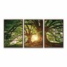 Quadro Decorativo Árvore Grande Galhos Paisagem para Sala Quarto - Moldura Premium - 3