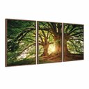 Ver imagem 3 de Quadro Decorativo Árvore Grande Galhos Paisagem para Sala Quarto - Moldura Premium