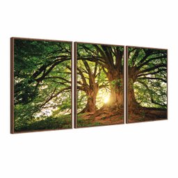 Quadro Decorativo Árvore Grande Galhos Paisagem para Sala Quarto - Moldura Premium - 2