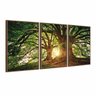 Quadro Decorativo Árvore Grande Galhos Paisagem para Sala Quarto - Moldura Premium - 2