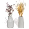 Vaso Decorativo Garrafa Conjunto 2 Pçs Artesanal com Flor Seca - Cinza - 1