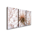 Ver imagem 1 de Kit 3 Quadros Decorativos Dente de Leão 90x50cm