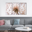 Ver imagem 7 de Kit 3 Quadros Decorativos Dente de Leão 90x50cm