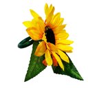 Ver imagem 4 de Kit 4 Porta Guardanapo Girassol Premium