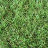 Grama Sintética Artificial 20mm com Proteção Uv e Anti-fungo 2,00 X 10,00m (20m²) - 1