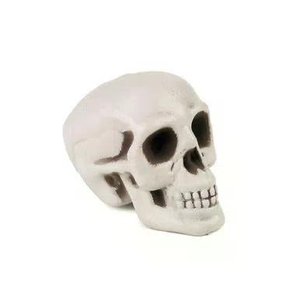 Enfeite Jg 6 Cranio de Caveira Enfeite Halloween