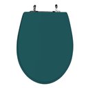 Ver imagem 1 de Assento Sanitário Poliéster para Louça Victória (ideal Standard) Aço (reb. Oculto) Verde Amazônia