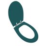 Assento Sanitário Poliéster para Louça Victória (ideal Standard) Aço (reb. Oculto) Verde Amazônia - 2